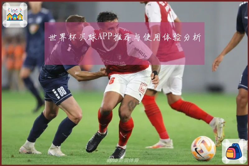 世界杯买球APP推荐与使用体验分析