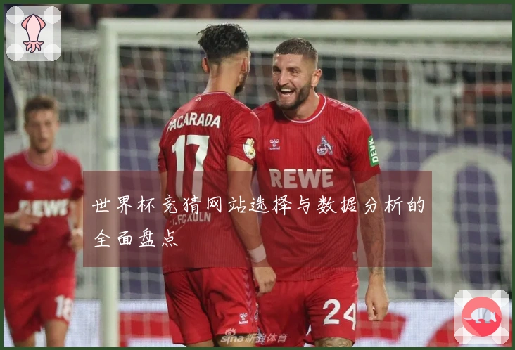 世界杯竞猜网站选择与数据分析的全面盘点