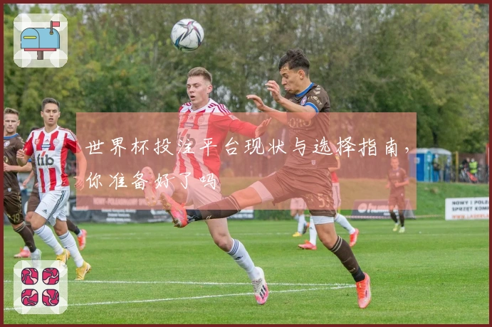世界杯投注平台现状与选择指南，你准备好了吗
