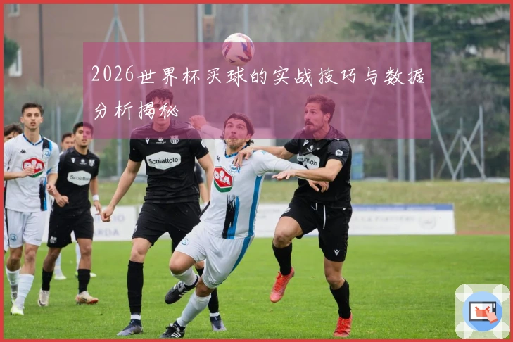 2026世界杯买球的实战技巧与数据分析揭秘
