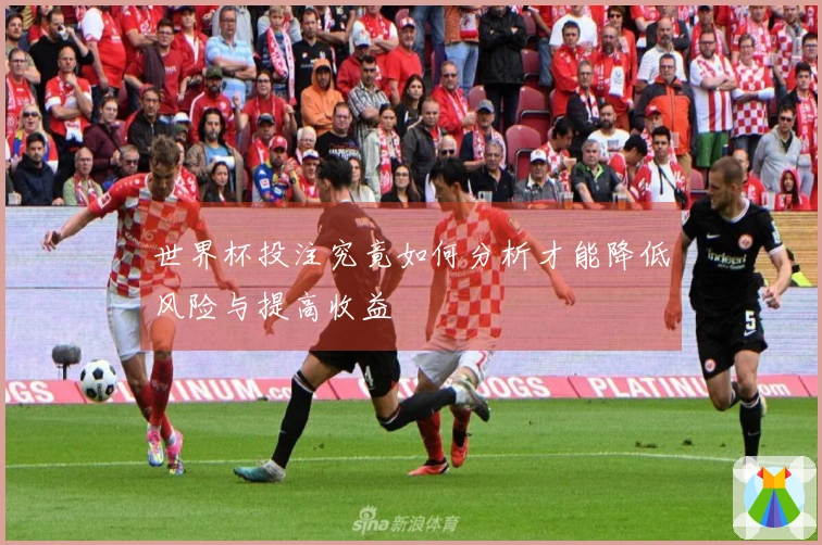 世界杯投注究竟如何分析才能降低风险与提高收益