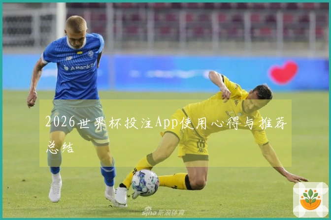 2026世界杯投注App使用心得与推荐总结