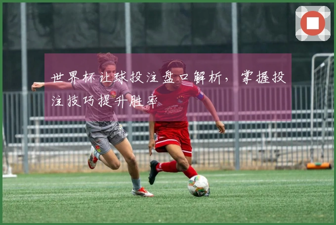 世界杯让球投注盘口解析，掌握投注技巧提升胜率