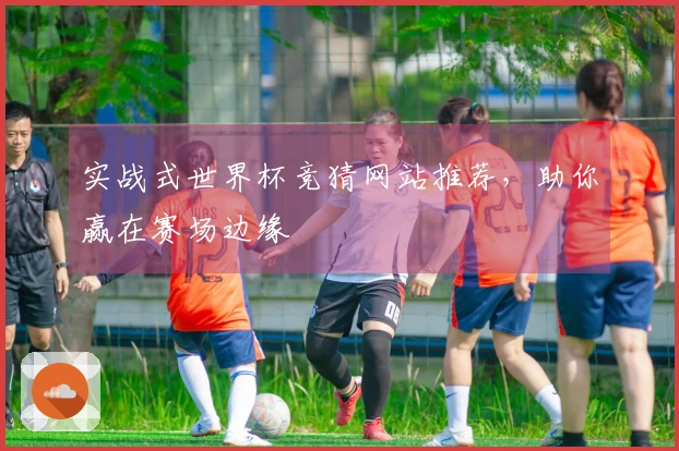 实战式世界杯竞猜网站推荐，助你赢在赛场边缘
