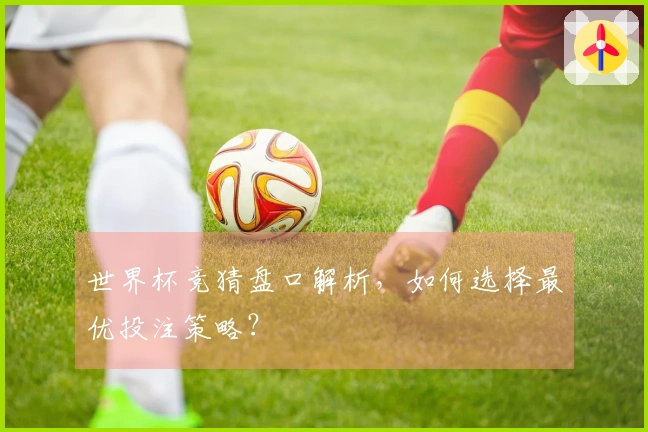 世界杯竞猜盘口解析，如何选择最优投注策略？