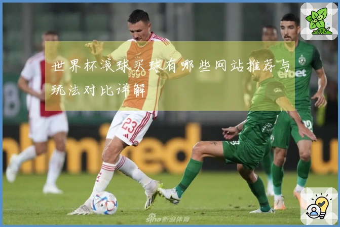世界杯滚球买球有哪些网站推荐与玩法对比详解