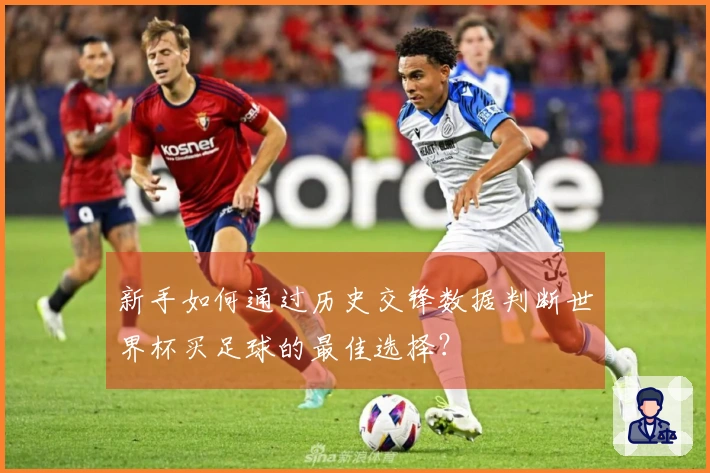 新手如何通过历史交锋数据判断世界杯买足球的最佳选择？