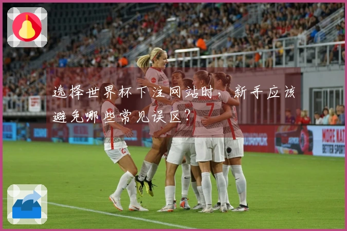 选择世界杯下注网站时，新手应该避免哪些常见误区？