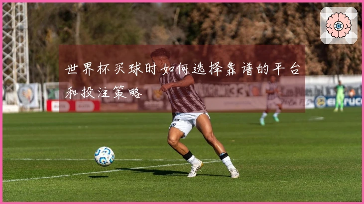 世界杯买球时如何选择靠谱的平台和投注策略
