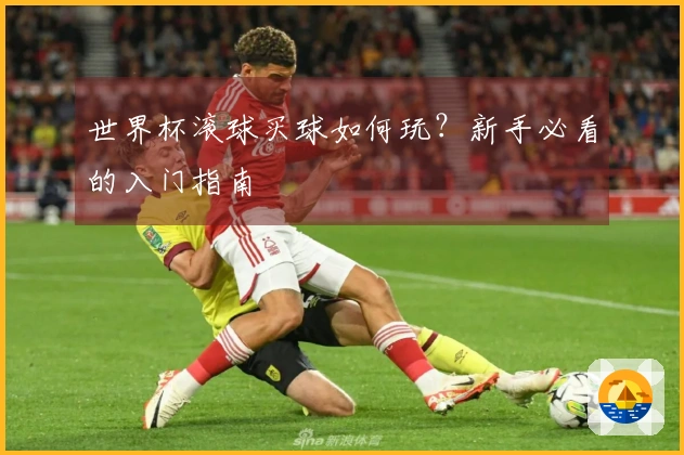 世界杯滚球买球如何玩？新手必看的入门指南