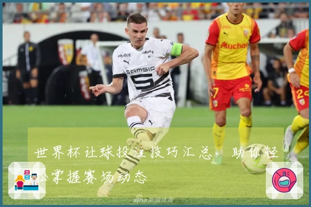 世界杯让球投注技巧汇总，助你轻松掌握赛场动态