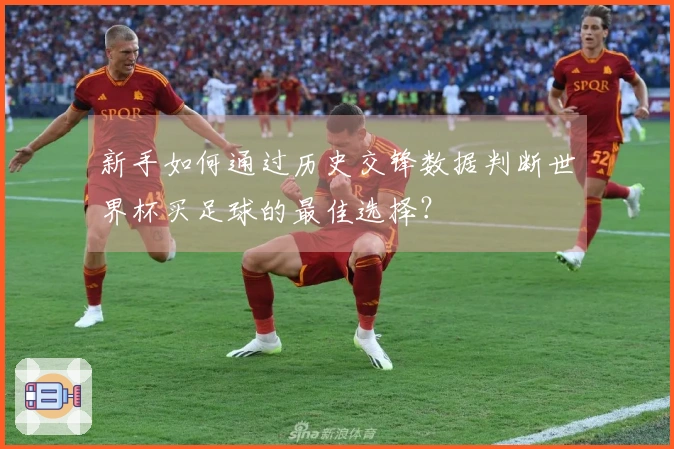 新手如何通过历史交锋数据判断世界杯买足球的最佳选择？