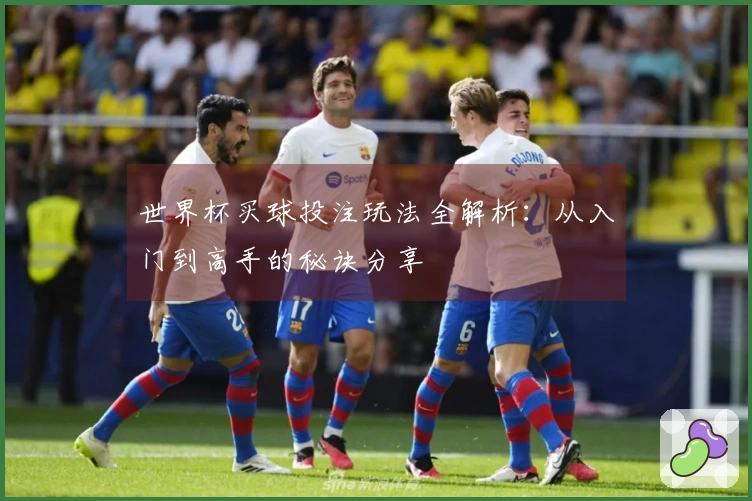世界杯买球投注玩法全解析：从入门到高手的秘诀分享