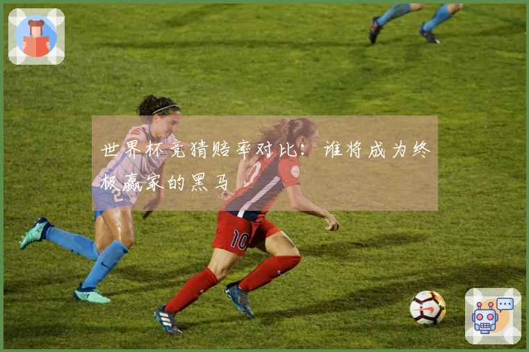 世界杯竞猜赔率对比：谁将成为终极赢家的黑马