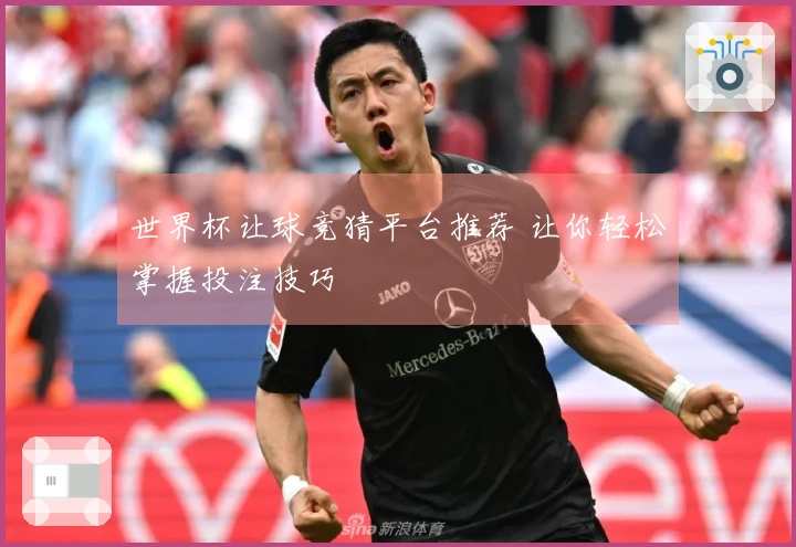 世界杯让球竞猜平台推荐 让你轻松掌握投注技巧