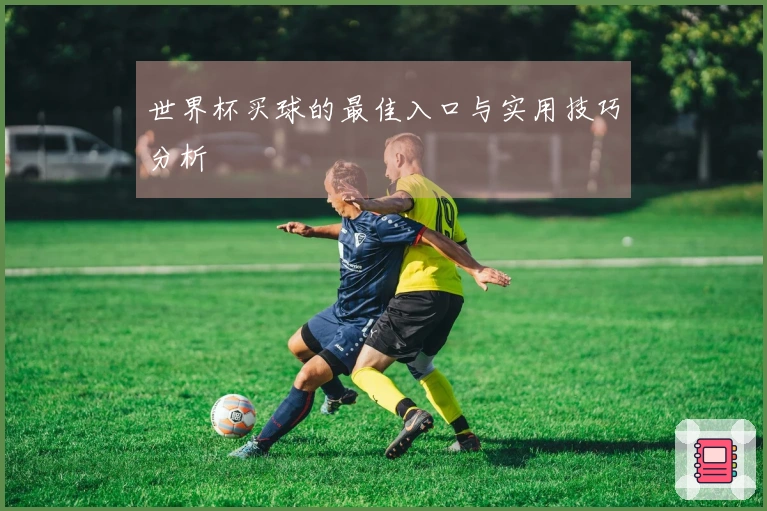 世界杯买球的最佳入口与实用技巧分析
