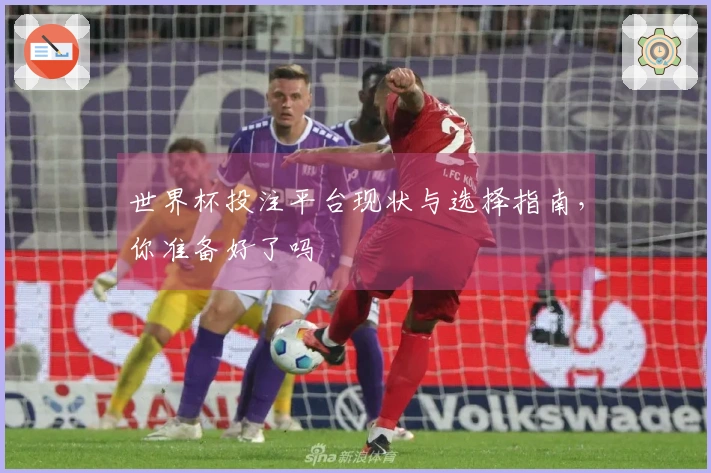 世界杯投注平台现状与选择指南，你准备好了吗