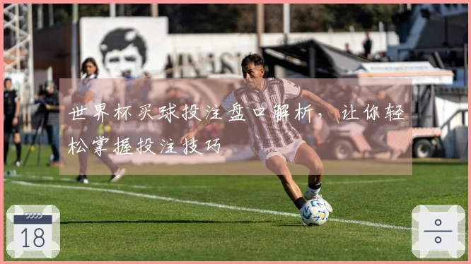 世界杯买球投注盘口解析，让你轻松掌握投注技巧