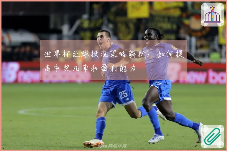 世界杯让球投注策略解析，如何提高中奖几率和盈利能力