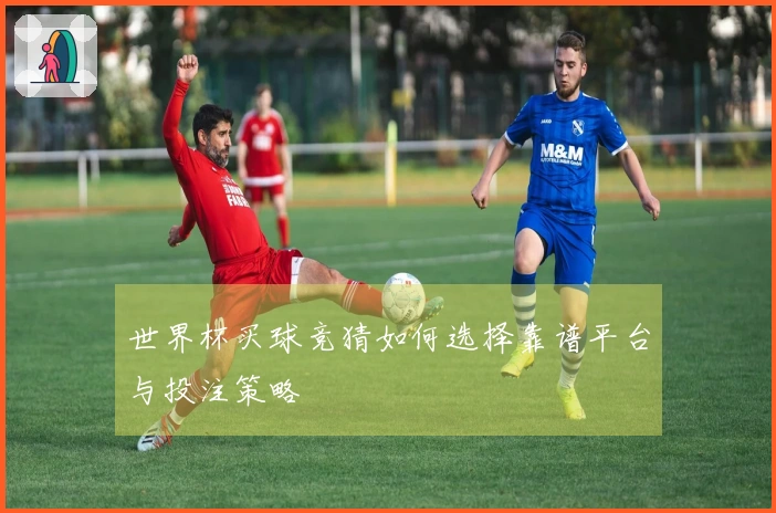 世界杯买球竞猜如何选择靠谱平台与投注策略
