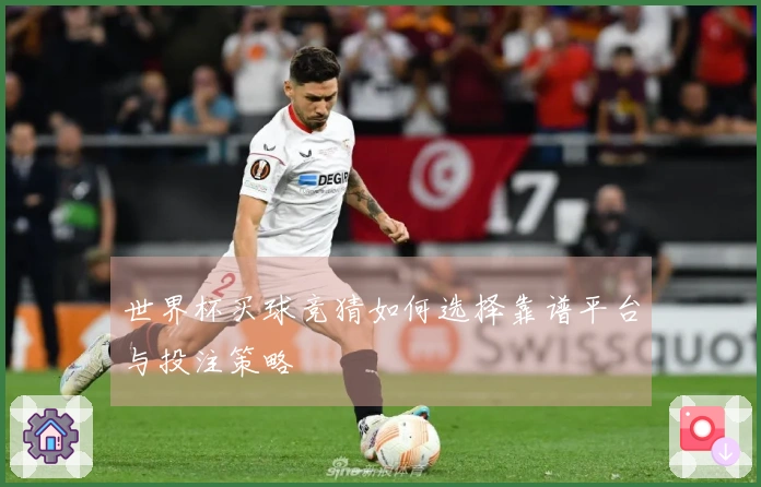 世界杯买球竞猜如何选择靠谱平台与投注策略