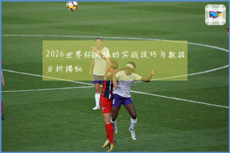2026世界杯买球的实战技巧与数据分析揭秘