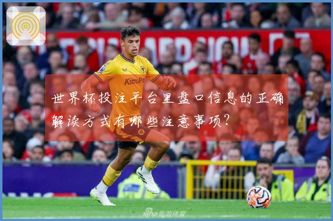 世界杯投注平台里盘口信息的正确解读方式有哪些注意事项？