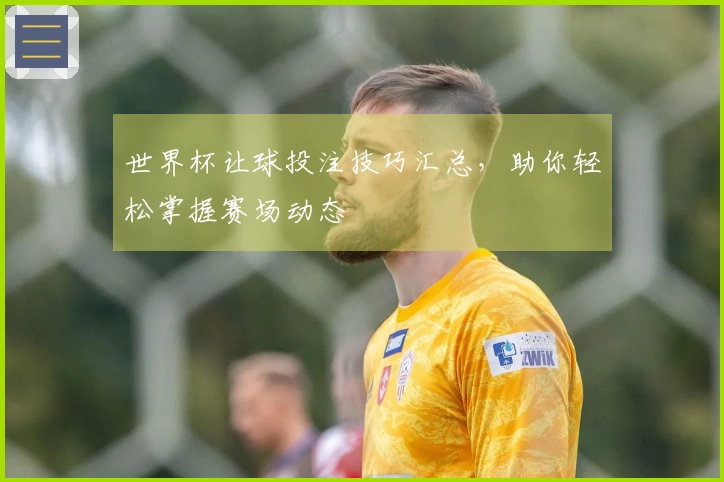 世界杯让球投注技巧汇总，助你轻松掌握赛场动态