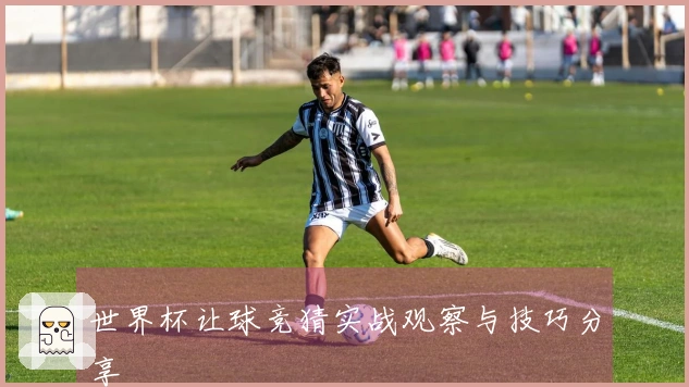 世界杯让球竞猜实战观察与技巧分享