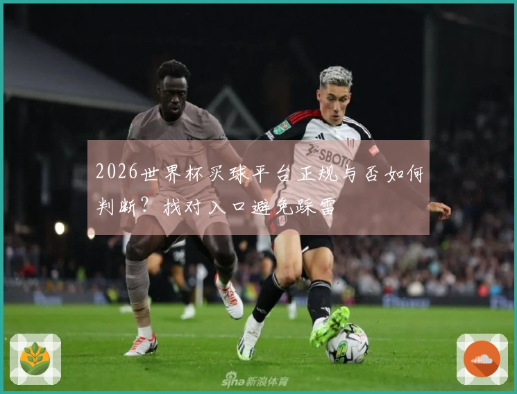 2026世界杯买球平台正规与否如何判断？找对入口避免踩雷