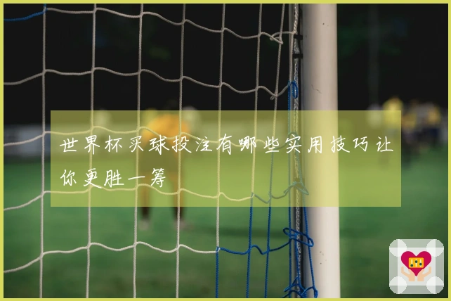 世界杯买球投注有哪些实用技巧让你更胜一筹