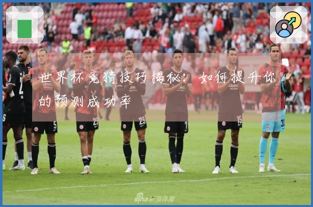 世界杯竞猜技巧揭秘：如何提升你的预测成功率