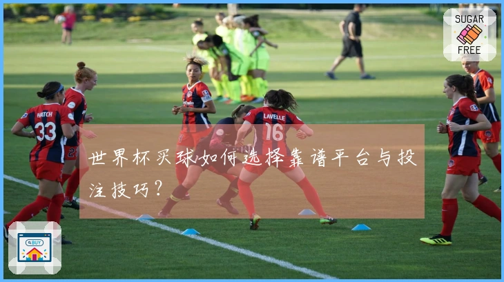 世界杯买球如何选择靠谱平台与投注技巧？
